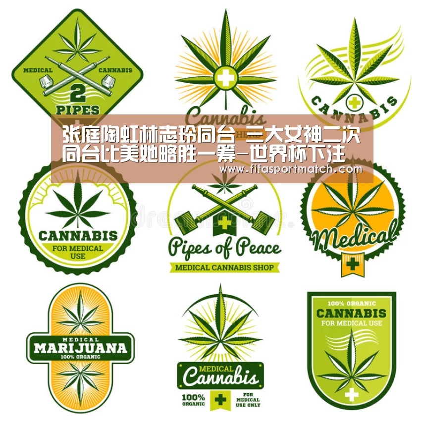 张庭陶虹林志玲同台 三大女神二次同台比美她略胜一筹-世界杯下注平台(图1) 世界杯投注网