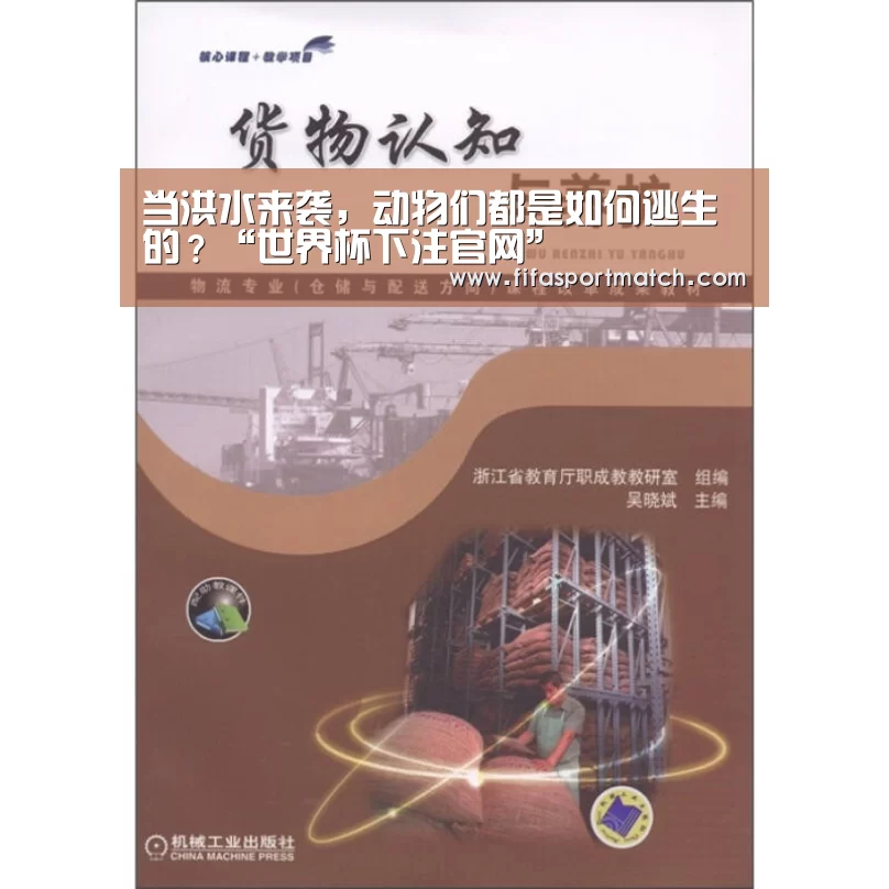 世界杯下注平台